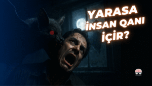Yarasalar Həqiqətən İnsan Qanına Hücum Edir?